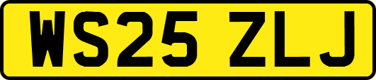 WS25ZLJ
