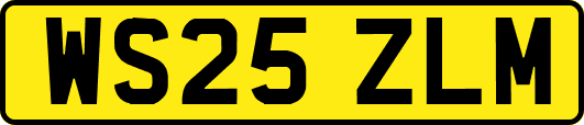 WS25ZLM