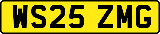 WS25ZMG