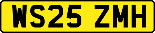 WS25ZMH