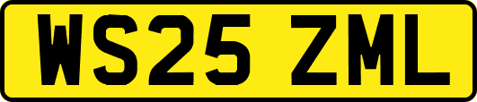 WS25ZML