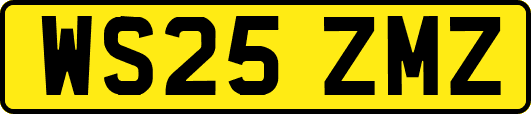 WS25ZMZ