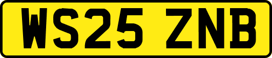 WS25ZNB