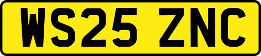 WS25ZNC