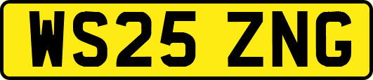 WS25ZNG