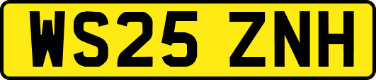 WS25ZNH