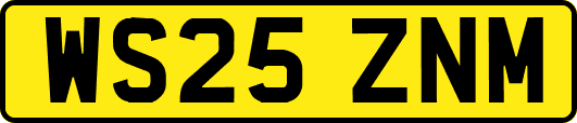 WS25ZNM