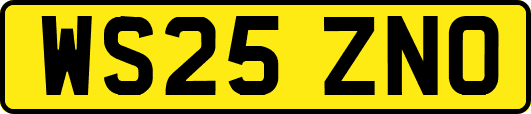 WS25ZNO