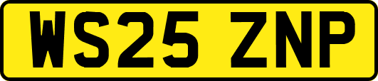 WS25ZNP