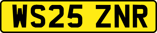 WS25ZNR