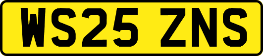 WS25ZNS