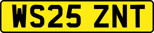 WS25ZNT