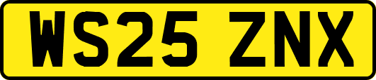 WS25ZNX