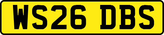 WS26DBS