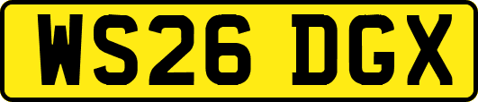 WS26DGX