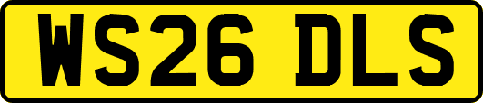 WS26DLS