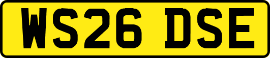 WS26DSE