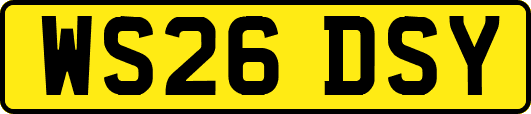 WS26DSY