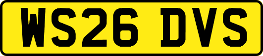 WS26DVS
