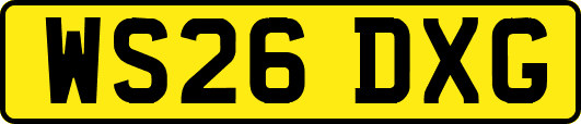 WS26DXG