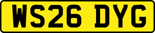 WS26DYG