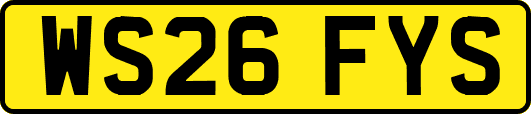 WS26FYS