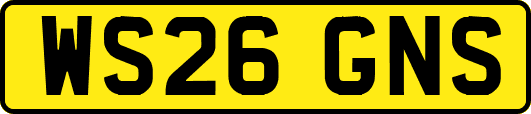 WS26GNS