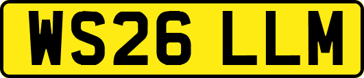 WS26LLM