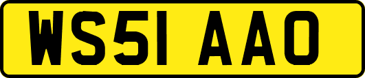 WS51AAO