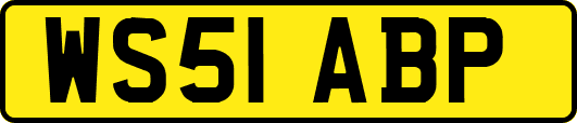 WS51ABP