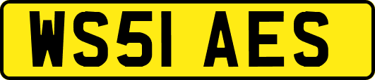 WS51AES