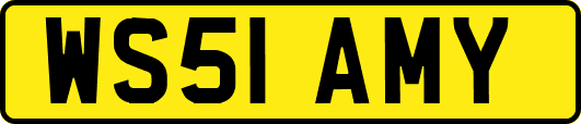 WS51AMY