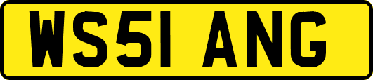 WS51ANG