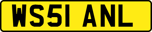 WS51ANL