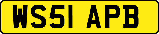 WS51APB