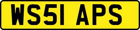 WS51APS