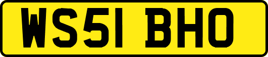 WS51BHO