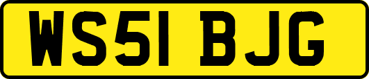 WS51BJG