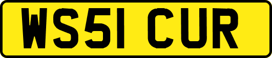 WS51CUR