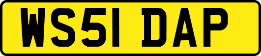 WS51DAP