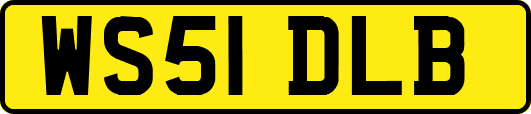 WS51DLB