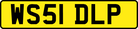 WS51DLP