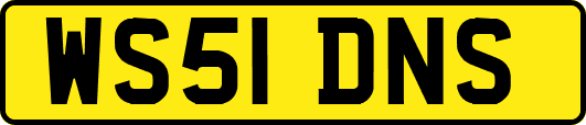 WS51DNS