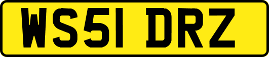 WS51DRZ