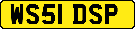 WS51DSP