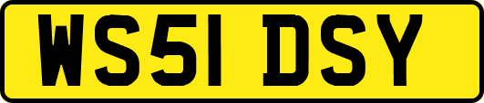 WS51DSY