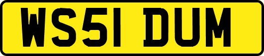 WS51DUM