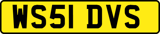 WS51DVS