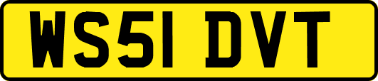 WS51DVT