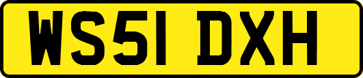 WS51DXH